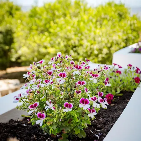 Mantarini House Semesterbostad