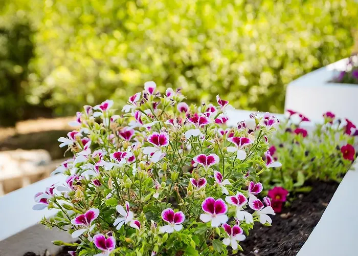 Mantarini House 別荘